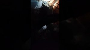 Гул на холодную при включении задней передачи и драйв тоже немного(.