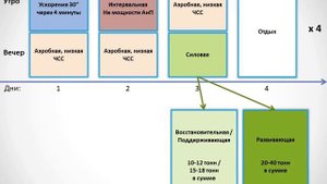 Вертышев 2019, Тема 2, Схемы применявшихся микроциклов, Часть 1