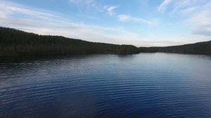 Rib Fortis 490 cat далеко на севере.