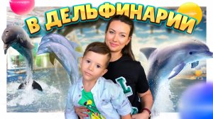 Шоу дельфинов и морской львицы в дельфинарии. #дельфины #дельфинарий #морскиеживотные #шоу