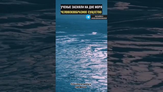 Учёные засняли на дне моря человекообразное существо #интересно #факты #загадки #мистика