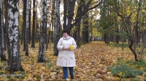 Осторожно, листопад!