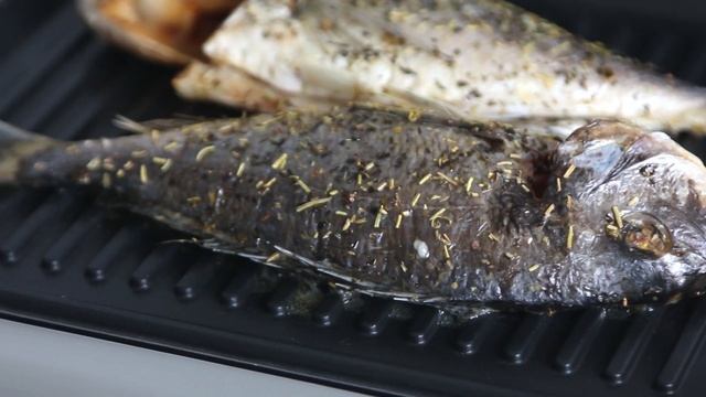 Zyle elektrinis grilis ZY019EG смотреть онлайн