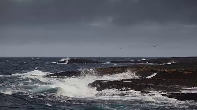 Стихи. К. Бальмонт. В домах смотреть онлайн