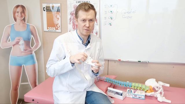 В чем отличия и назначения Cordus и Sacrus? смотреть онлайн