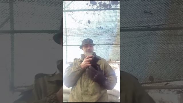 Война, живой пример с передовой - котёнок за одну ночь стал седым. Минометный обстрел