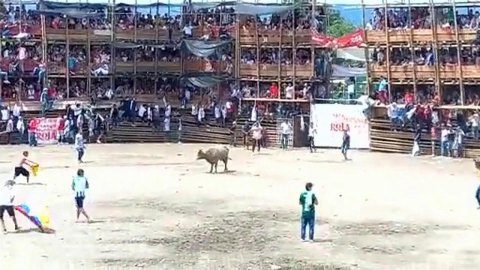 В Колумбии во время традиционного забега быков на арену обрушилась часть трибуны
