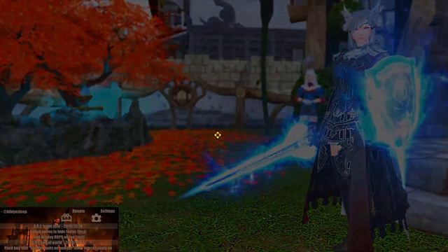 ACT - Skill Display Guide - Installation & Customization | FFXIV смотреть онлайн