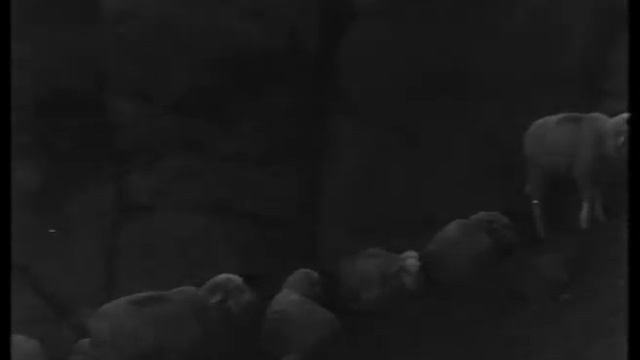 Чабан. (1966 Кыргыз керемети/Кыргызское чудо) режиссер: Болот Шамшиев