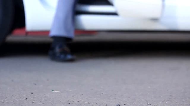 Театральный Бал молодоженов - г.Ярославль. смотреть онлайн