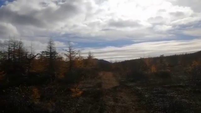 Отдых на квадриках 1 смотреть онлайн