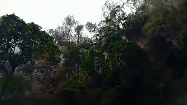 Jalapa Cascadas de Urlanta смотреть онлайн