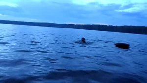 Подводная охота на толстолобика в Десногорске . Заветный трофей