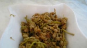 Что такое - джонджоли ?