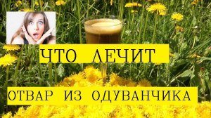 Одуванчик лечебные свойства кратко/Одуванчик применение и способ приготовления/Одуванчик рецепты