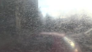 Москва, автобус 236, участок платформа Матвеевская - Матвеевская улица, 36