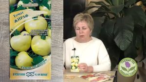 ЛЕЖКИЕ СОРТА ТОМАТОВ! СОХРАНЯТСЯ ДАЖЕ ДО ВЕСНЫ