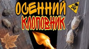 Мал КЛОП, да ВОНЮЧ или другого способа НЕ ЗНАЮ