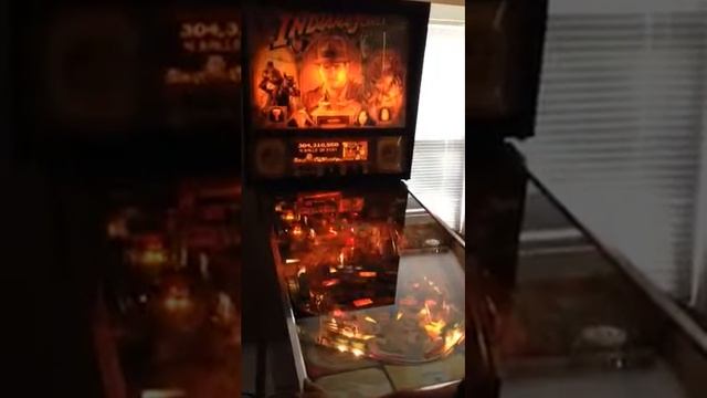 Indiana Jones: The Pinball Adventure