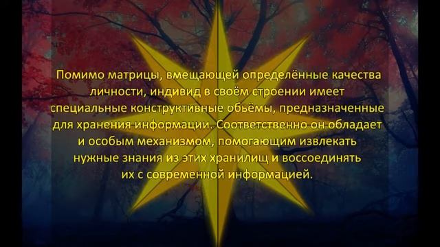 Секлитова, Стрельникова. - Что влияет на интеллект и разум