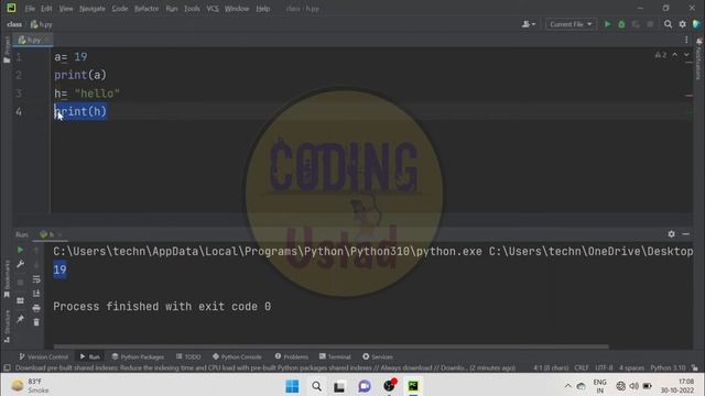 Variable in Python | python tutorial for beginners in hindi | смотреть онлайн