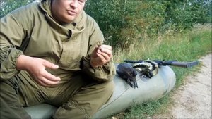 фальшпатроны 12к для тренировок