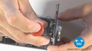 Замена КНОПКА HOME С СЕНСОРОМ ОТПЕЧАТКОВ TOUCH ID И ШЛЕЙФОМ IPHONE 5S.