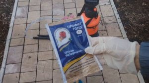 ЧТО С РОЗАМИ?/БОЛЕЗНИ РОЗ- ПЕРОНОСПОРОЗ, ИНФЕКЦИОННЫЙ ОЖОГ/ВЕСЕННЯЯ ОБРАБОТКА РОЗ