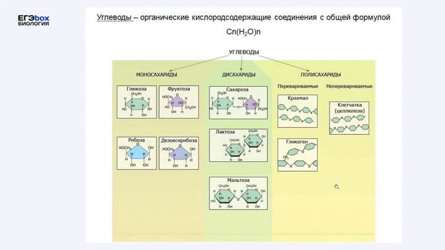 Как подготовиться к ЕГЭ по биологии смотреть онлайн
