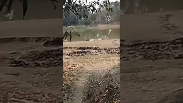 Bangladesh–India border