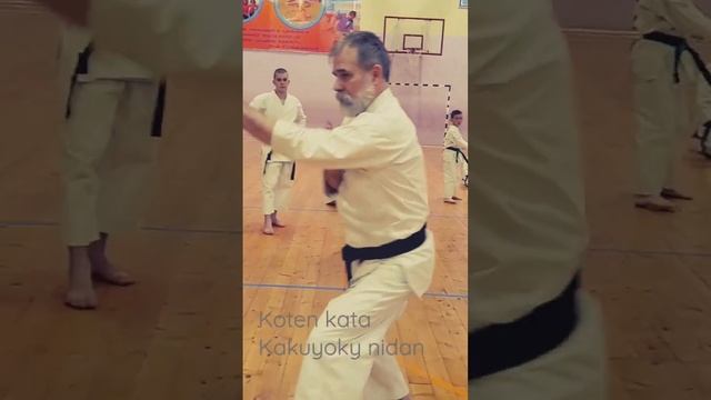 Tetsuhiko Asai legacy. Koten kata Kakuyoku nidan by Dormenko Andrey sensei.