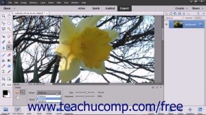 Photoshop Elements 2018 Tutorial Using the Dodge Tool & the Burn Tool Adobe Training