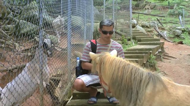 Фильм второй - САМУИ (как всё начиналось...) смотреть онлайн