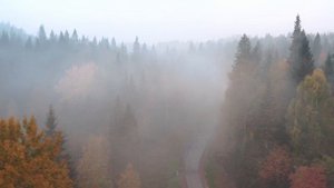 Сиротулло Раупов - Сура аль-Мульк. Красивое чтение корана. Beautiful reading holy quran.