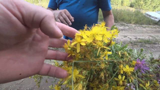 Моя родина Сибирь.  Зов крови.  Поездка в село Клабуковка (Крапивка) в Алтайском крае 2022. 4K