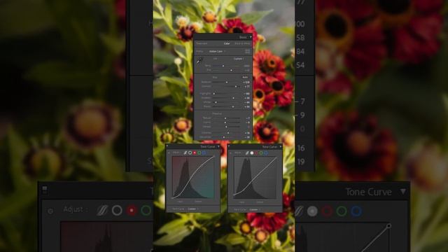 Free Golden Hour Lightroom Mobile Preset Tutorial | DNG & XMP Free Download | Presetum смотреть онлайн