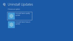 Windows 11 Build 25115: New Boot Manager Icons!