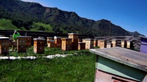 2023_0617_152611_071