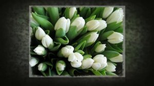 поздравления с юбилеем женщине открытки