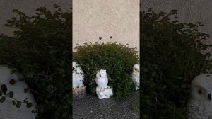 ЧТОБЫ РЕБЕНОК НЕ ПЛАКАЛ В ЯСЛЯХ