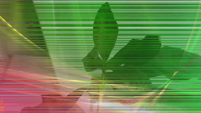 Почему чернеют, желтеют и сохнут листья у кофейного дерева? смотреть онлайн