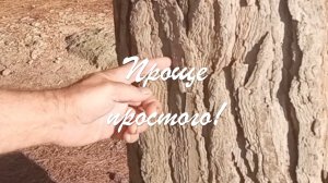 Наблюдай!