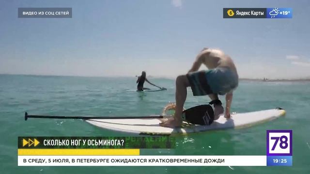 Программа "Интервидение". Эфир от 05.07.2023