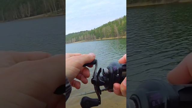 BAITCASTING С ФЛЮОРОКАРБОНОМ #срыбалки #fishing #shimano #daiwa #baitcasting #рыбалка