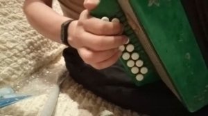 Крутая игра на игрушечной гармошке!