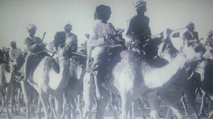 История ОАЭ, с древнейших времён до наших дней. Урок 4