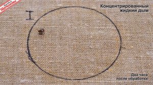 Клещи боятся ДЁГТЯ и УКСУСА? Давайте проверим! Тест на выживание (Братья Щербаковы)