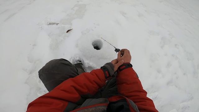 Очередная трудовая рыбалка! Нашел сорогу!!! смотреть онлайн