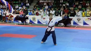 Первенство России по тхэквондо (фристайл)