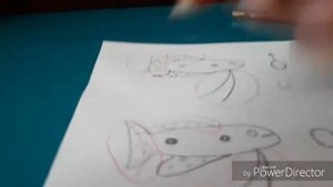 Как отличить пол у гурами